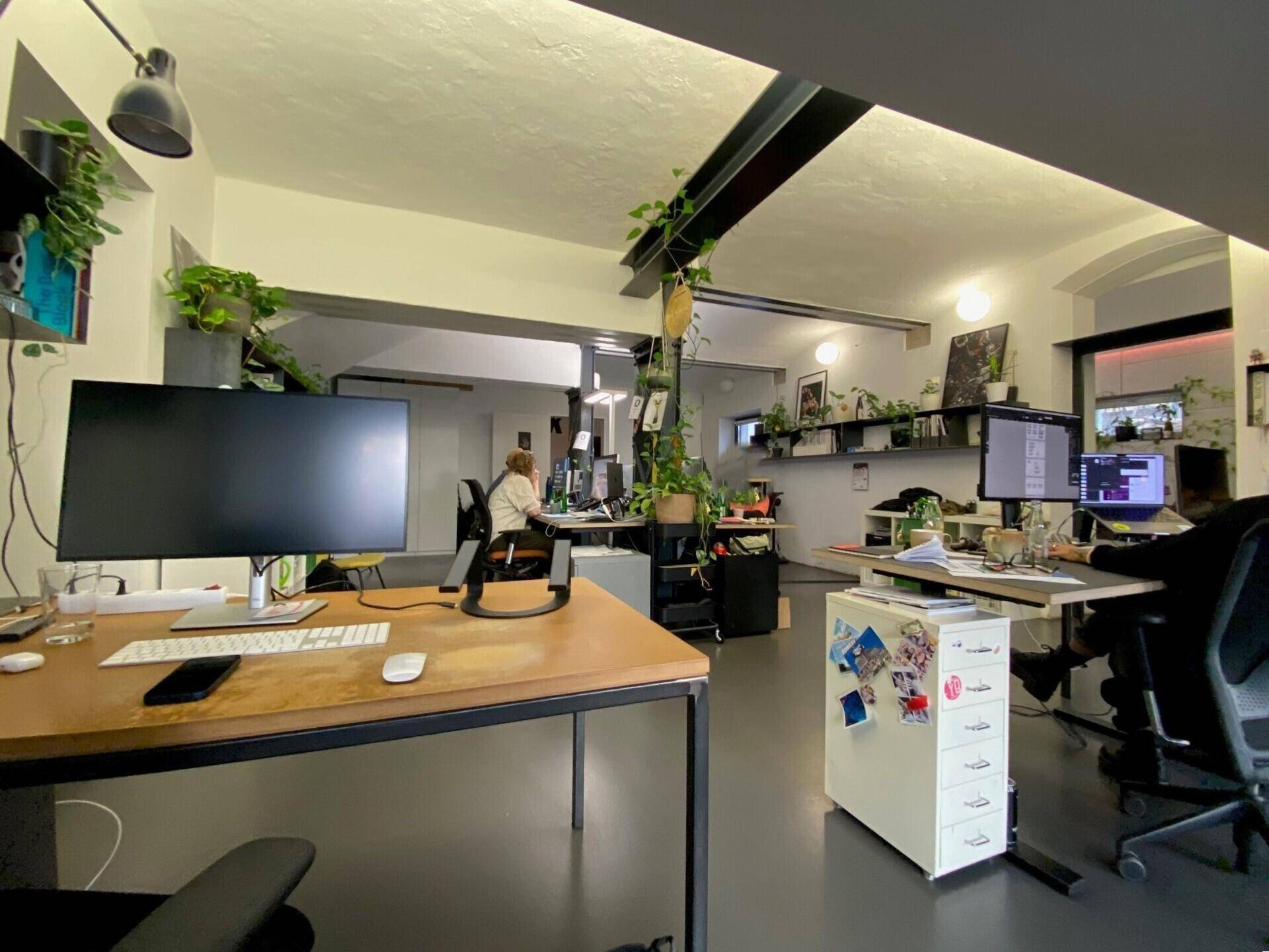 Weitläufiges Großraumbüro mit modernen Arbeitsplätzen, Pflanzen und industriellen Deckenbalken, die den Loft-Charakter betonen.