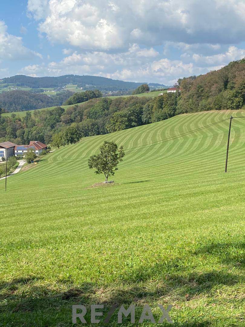 Natur in der Umgebung