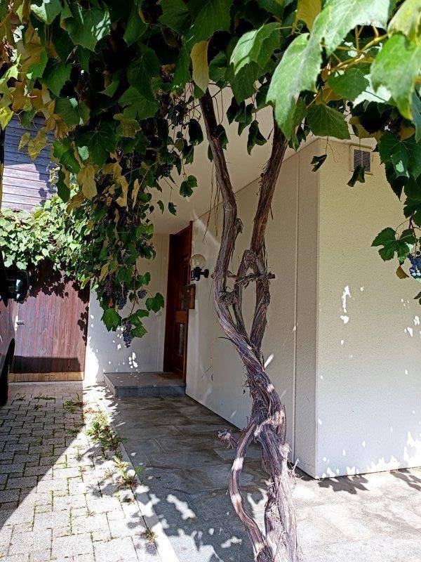Eingangsbereich eines Hauses mit gepflastertem Weg und bewachsenen Ranken.