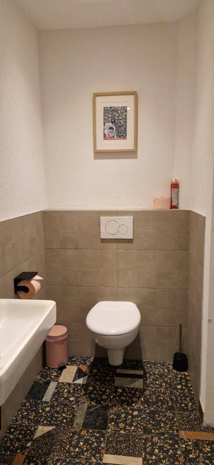 Kleines Gäste-WC mit modernen Fliesen, wandhängendem WC und einem einzelnen Waschbecken.