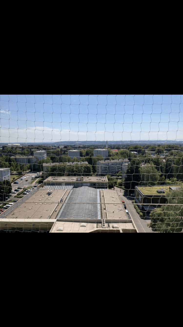 Slide 15