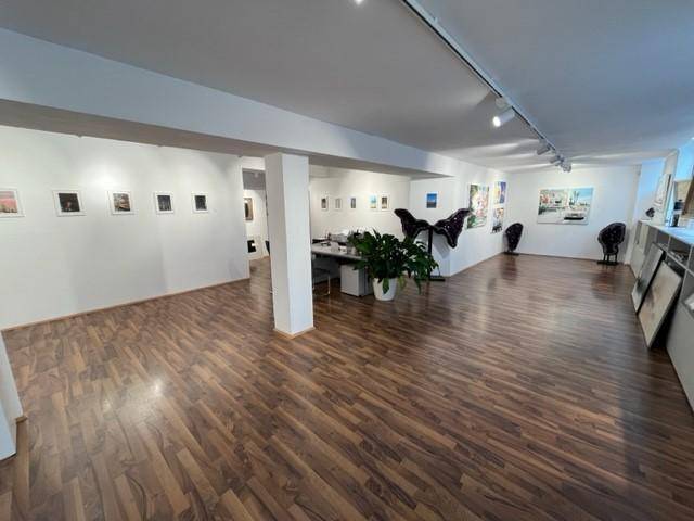 Geräumiger Gewerberaum mit Laminatboden, weißen Wänden und moderner Schienenbeleuchtung, als Galerie genutzt.