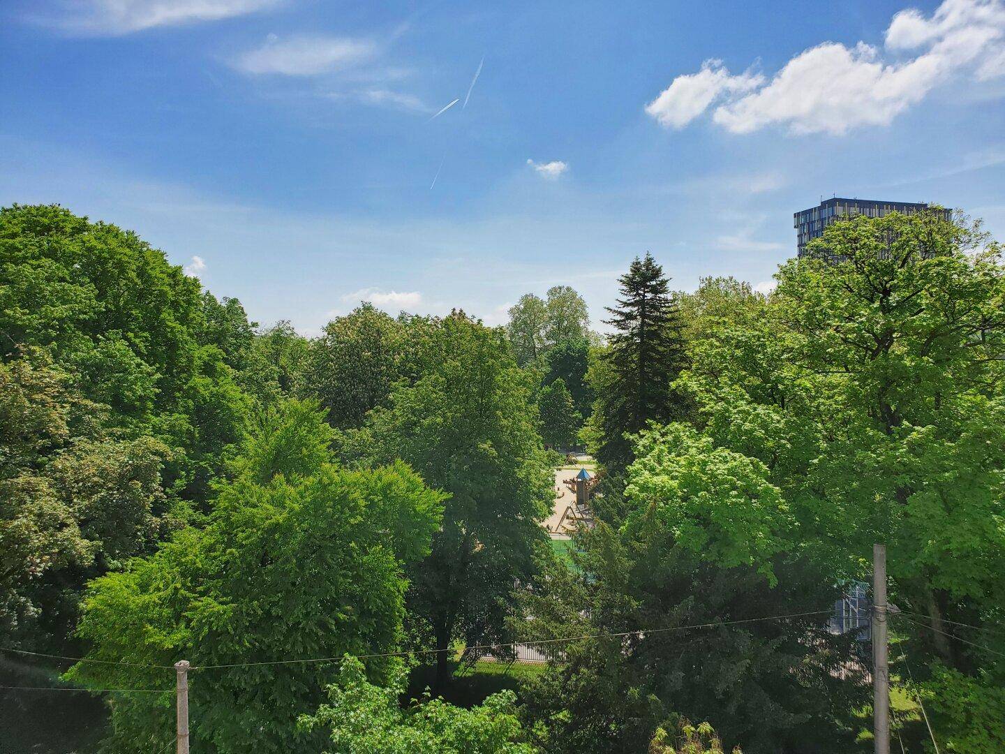 Blick von oben auf eine grüne Parklandschaft mit dichtem Baumbestand und einem Spielplatz in der Ferne.