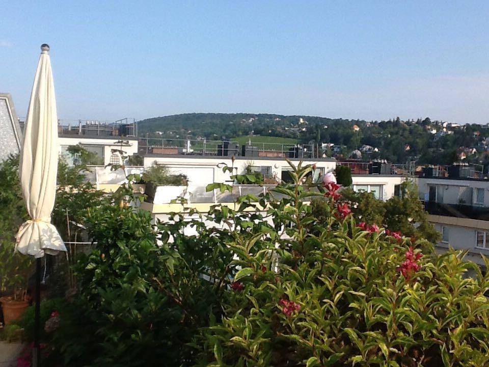 Weitläufige Dachterrasse mit viel Grün, Sonnenschirm und Panoramablick auf die umliegende Landschaft.