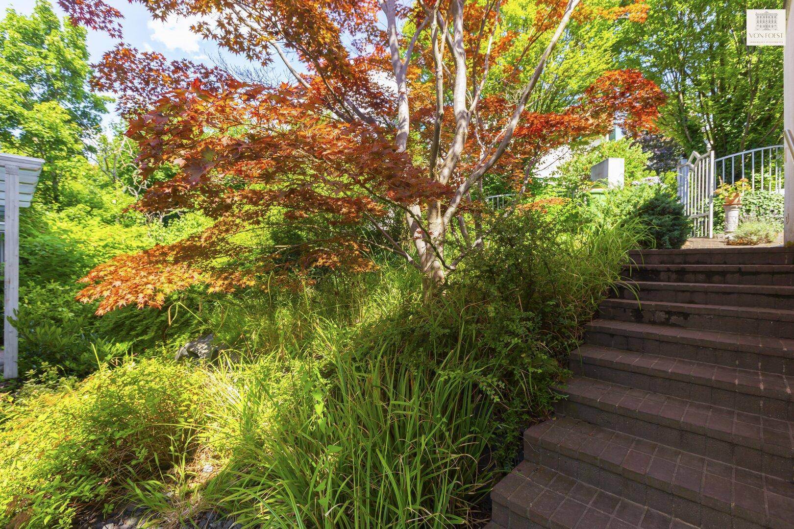 Steintreppe im Garten, umgeben von üppiger Vegetation und einem auffälligen roten Ahornbaum.