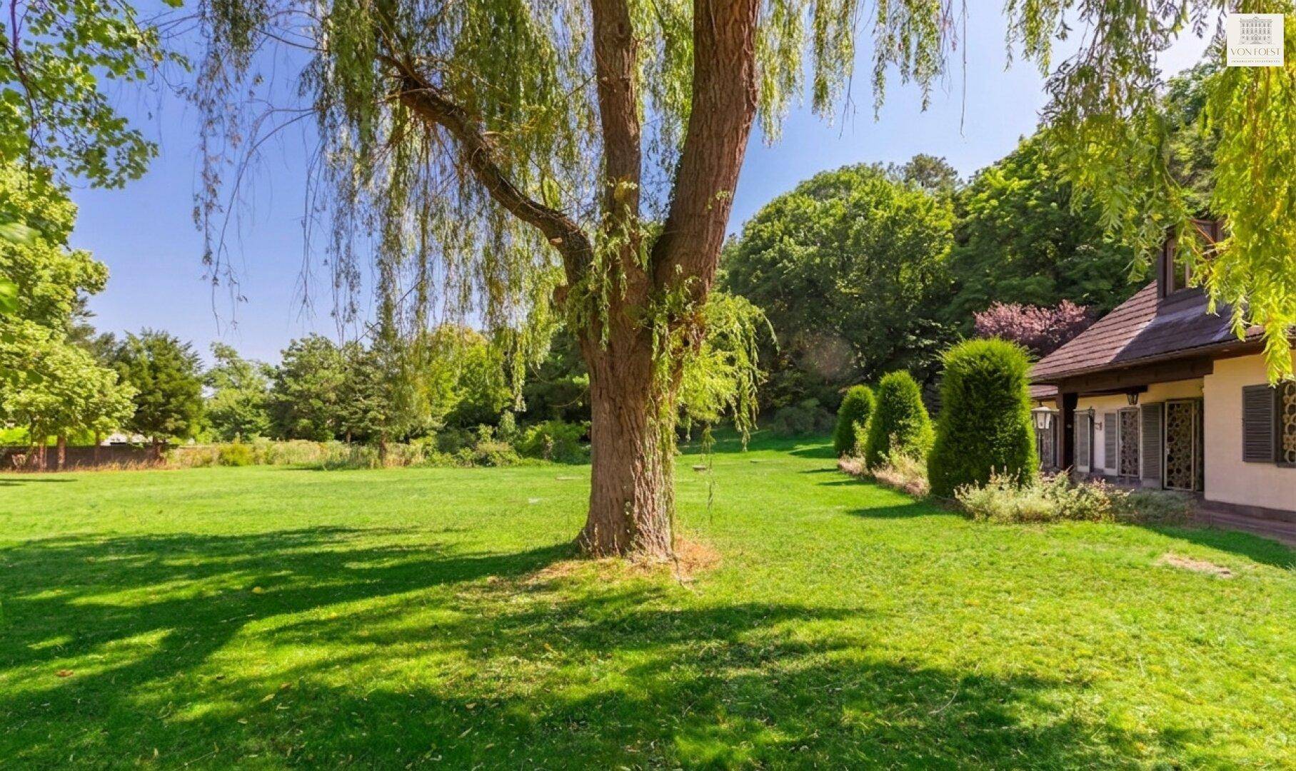 Alter Weidenbaum im weitläufigen Garten mit sonniger Rasenfläche und Blick auf die Hausfassade.