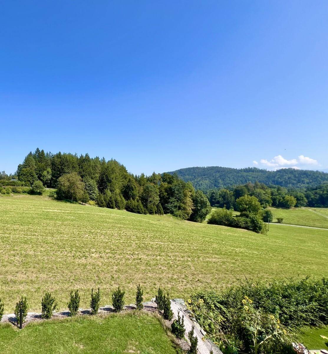 Weitläufiger Blick über grüne Wiesen und bewaldete Hügel unter blauem Himmel.