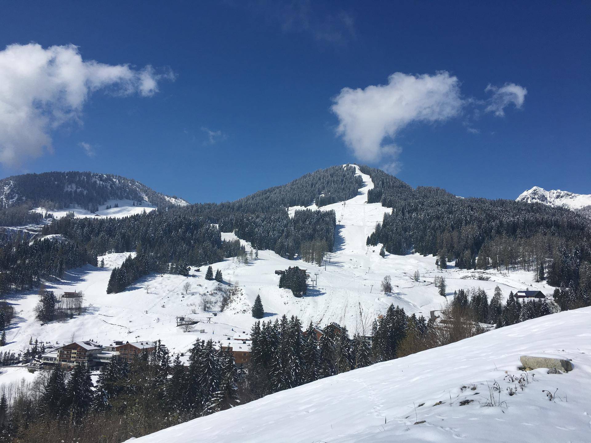 Weitläufige, schneebedeckte Berglandschaft mit dichten Wäldern und einer präparierten Skipiste unter blauem Himmel.