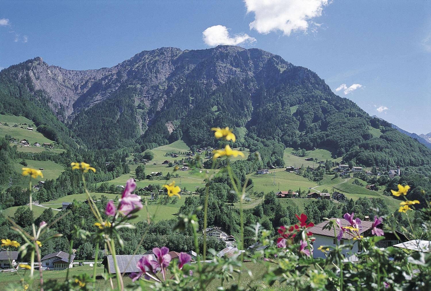 Malerische Berglandschaft mit grünen Tälern, verstreuten Häusern und blühenden Blumen im Vordergrund unter blauem Himmel.