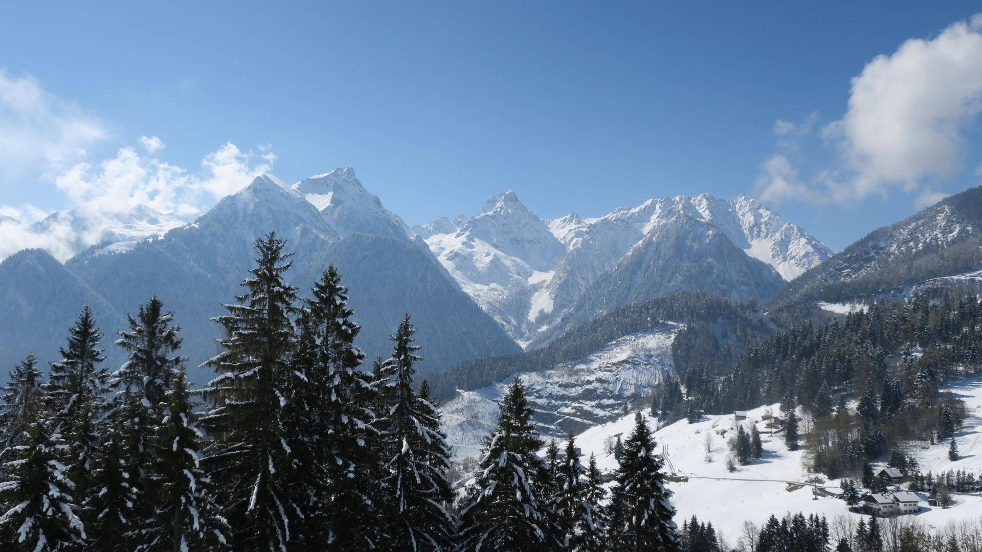 Majestätische, schneebedeckte Bergkette mit dichten Nadelwäldern im Vordergrund unter klarem Himmel.