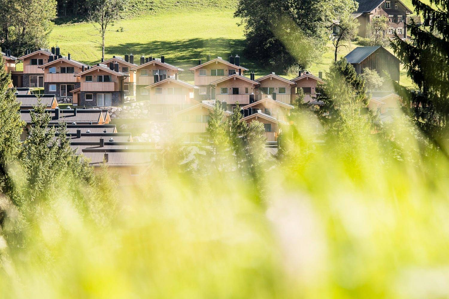 Reihe von modernen Chalets in einer grünen Berglandschaft, umgeben von Bäumen.