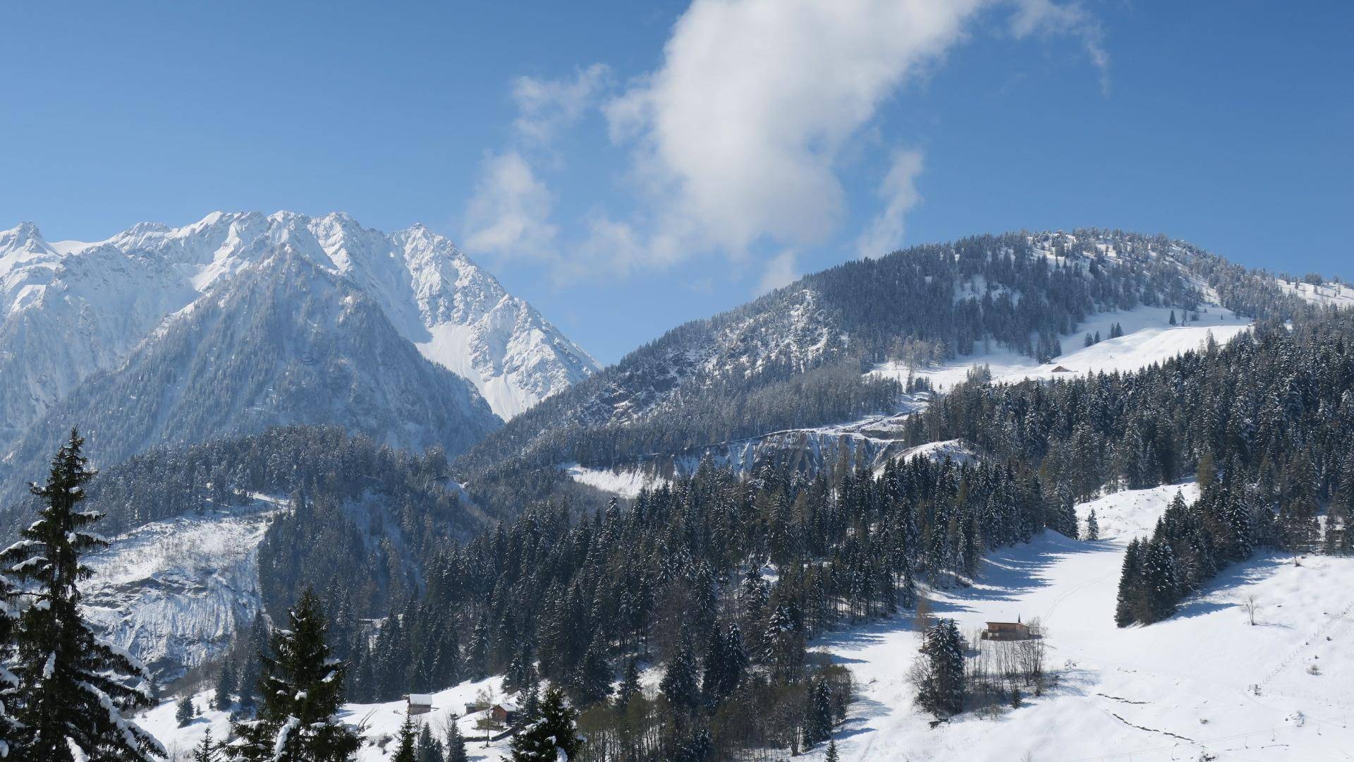 Weite, schneebedeckte Berglandschaft mit Wald und einem Skihang unter blauem Himmel.