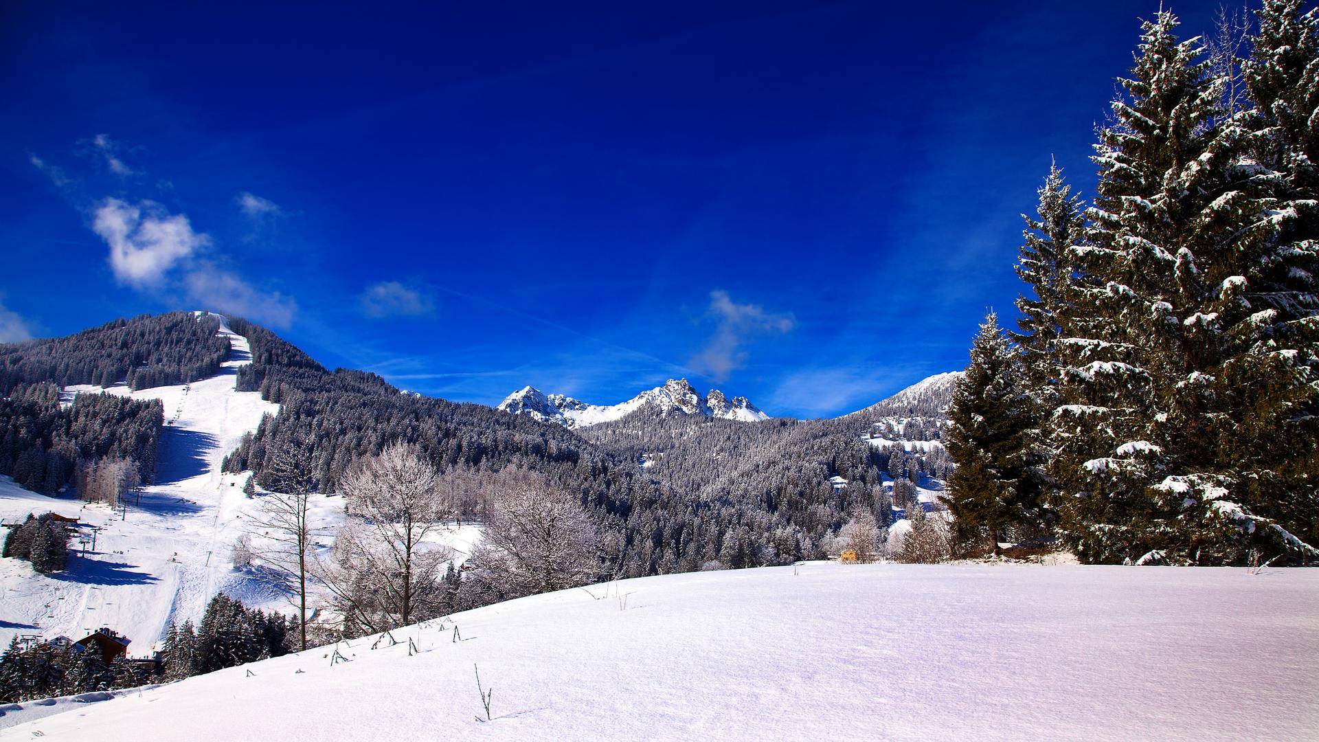 Atemberaubende, schneebedeckte Berglandschaft mit tiefblauem Himmel und majestätischen Nadelbäumen.