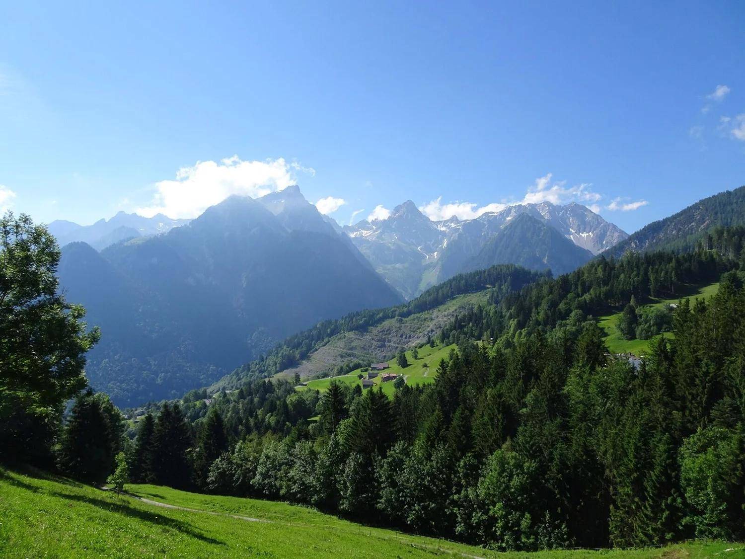 Weitläufige grüne Täler und bewaldete Hänge unter einem klaren blauen Himmel mit schneebedeckten Berggipfeln.