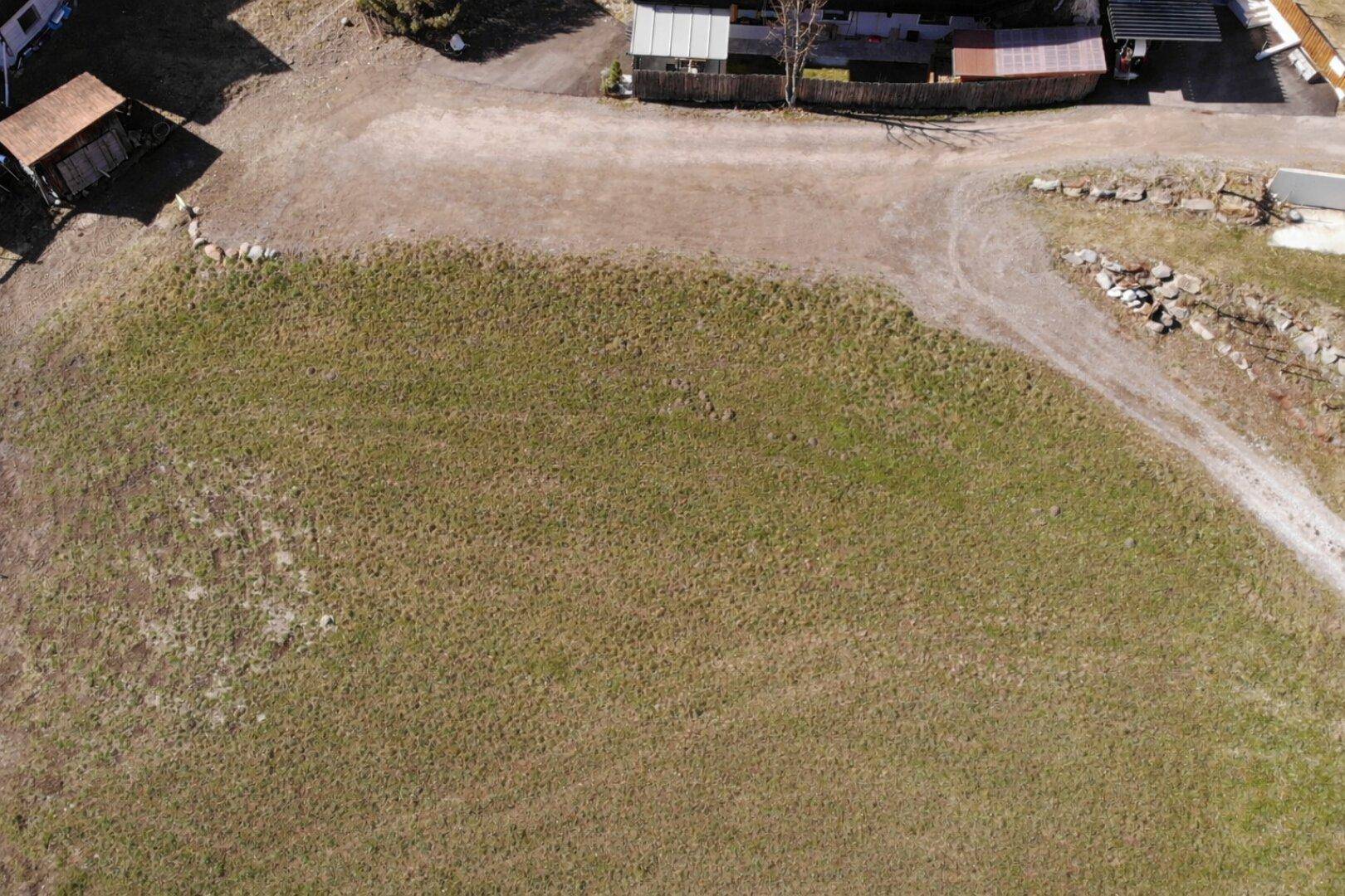 Luftaufnahme einer großen grünen Wiese mit unbefestigten Wegen und angrenzenden Gebäuden.