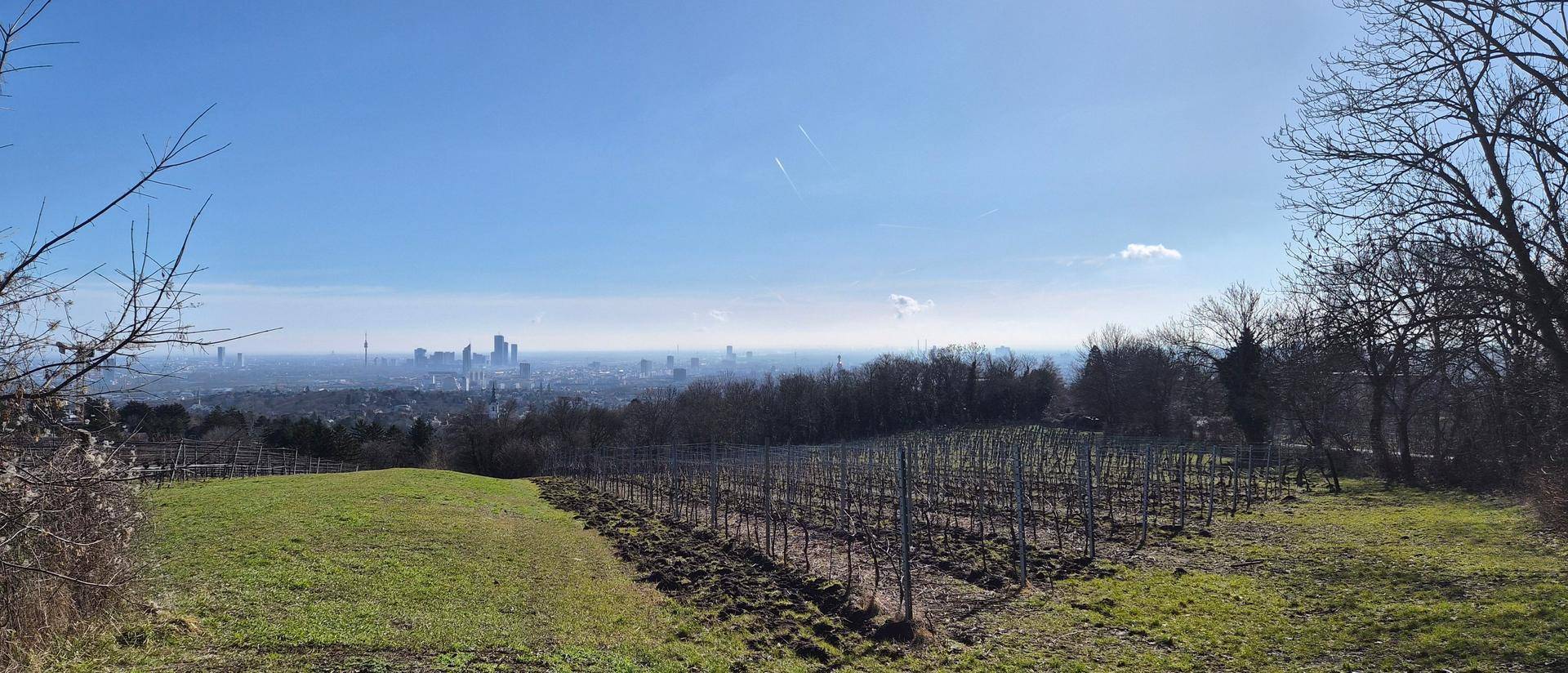 Panoramablick über grüne Weinberge und Wiesen mit der beeindruckenden Skyline der Stadt am Horizont.