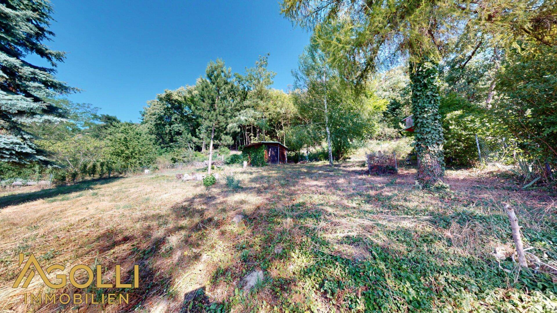 Großer, naturbelassener Gartenbereich mit altem Baumbestand und Gartenhaus.
