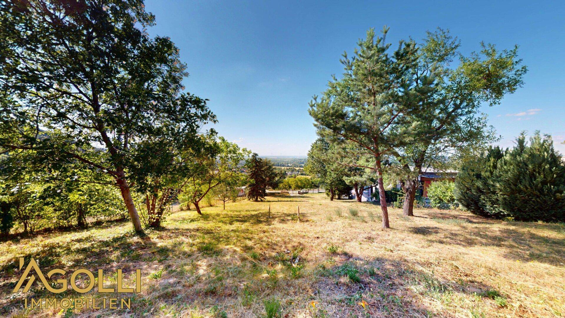 Naturbelassener Gartenbereich mit Bäumen und weitem Blick in die Landschaft.