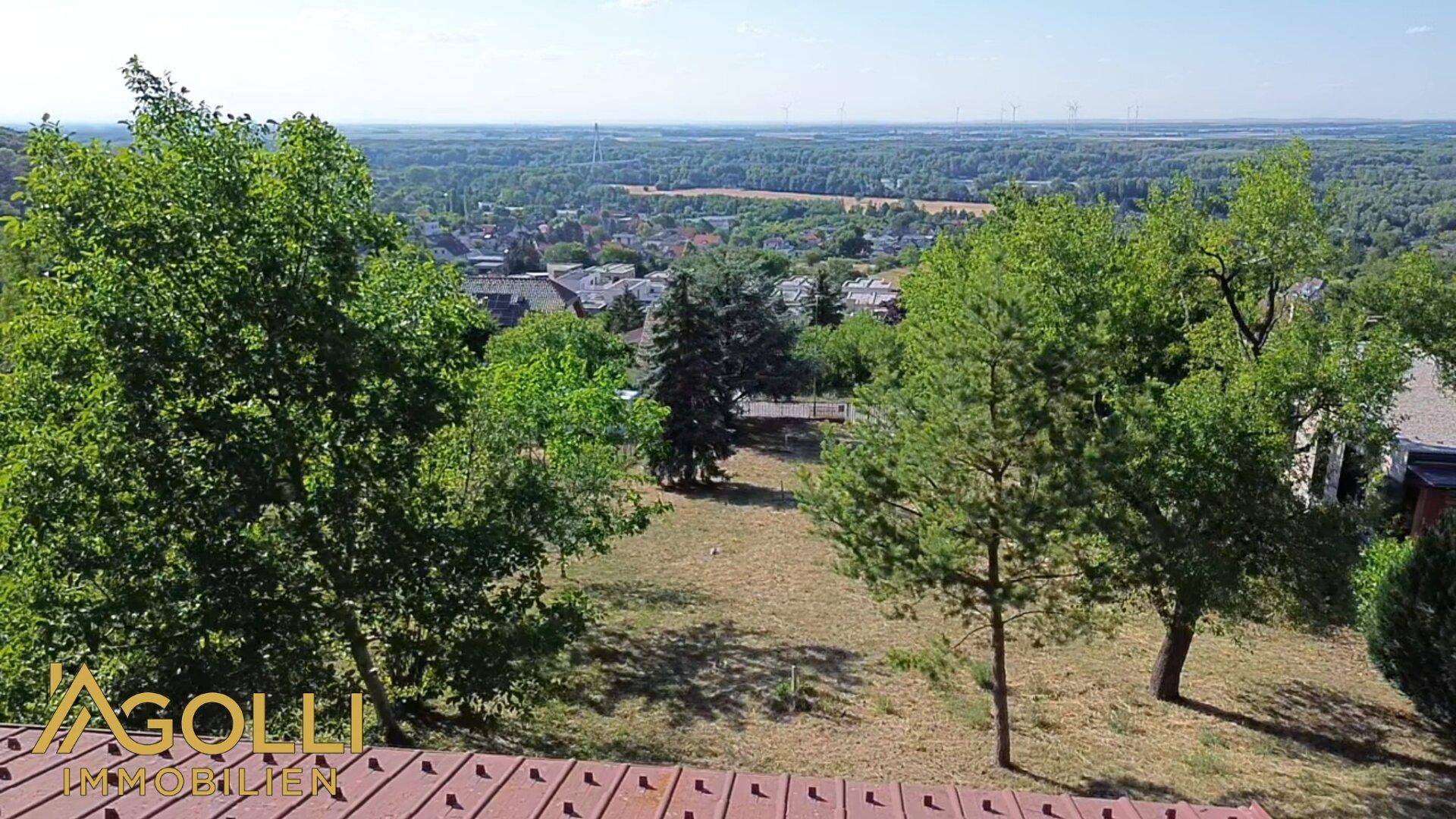 Weitläufiger Blick über die Landschaft mit Bäumen und einem Dorf im Hintergrund.