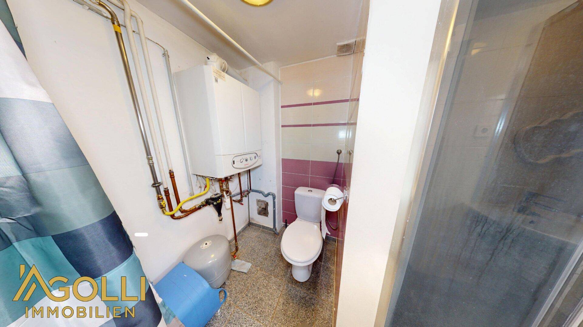 Kleines WC mit Dusche und Heizungsanlage, praktisch und funktional.