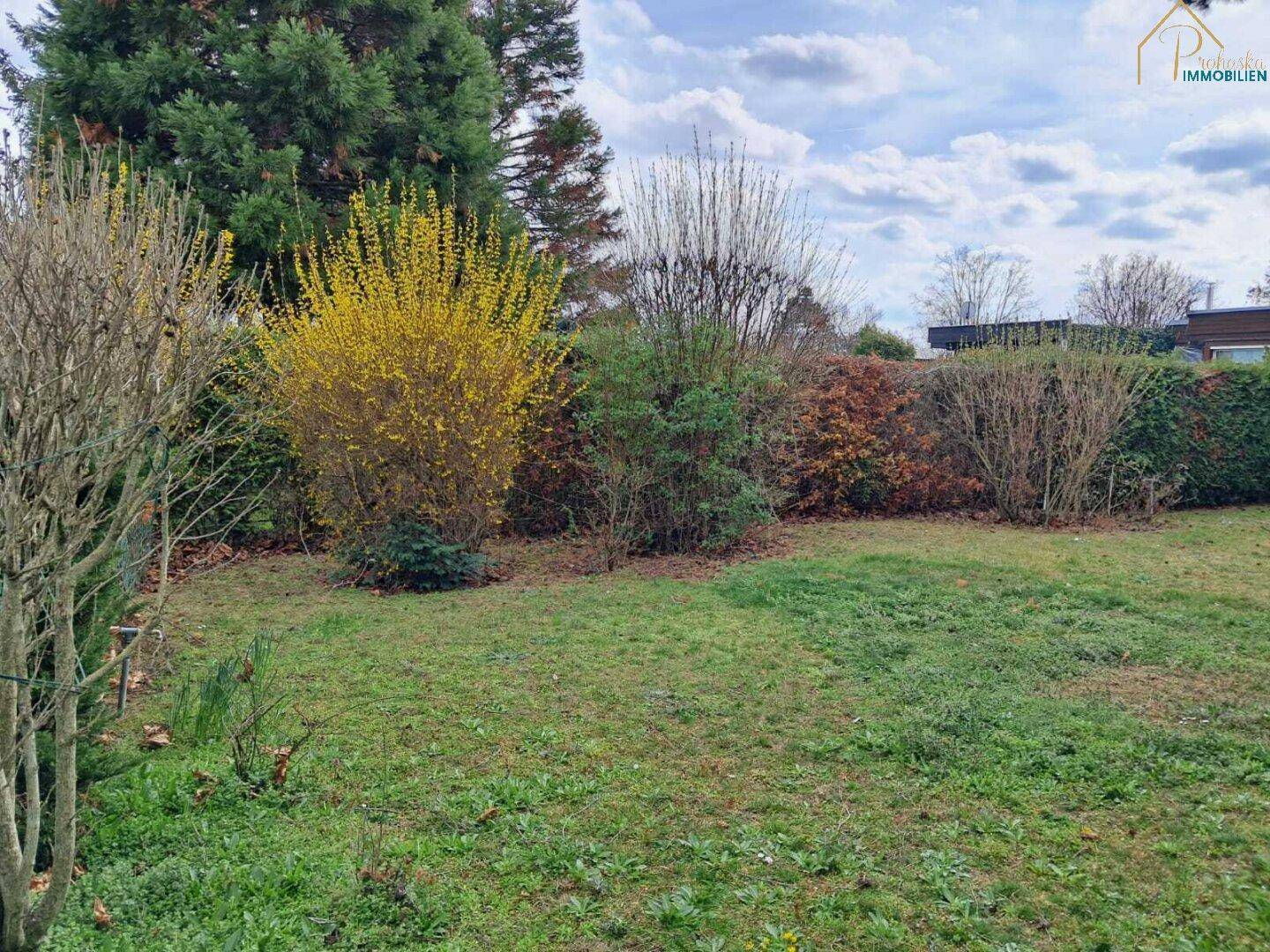 Gepflegter Gartenbereich mit blühenden Sträuchern und einer dichten Hecke.