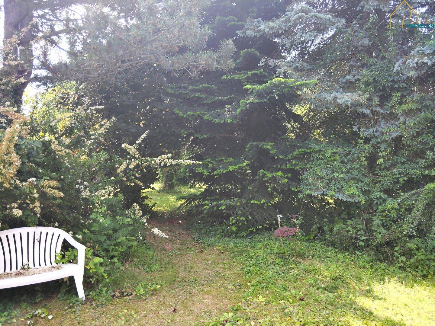 Verwunschener Gartenweg, umgeben von dichtem Grün und einem weißen Gartenbank.