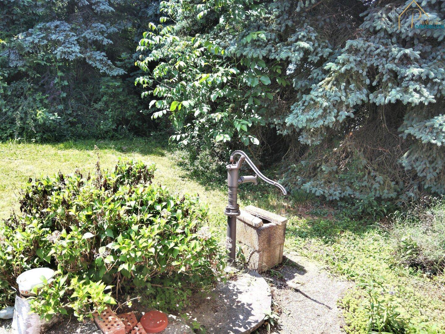 Rustikaler Gartenbereich mit alter Wasserpumpe und üppiger Vegetation.