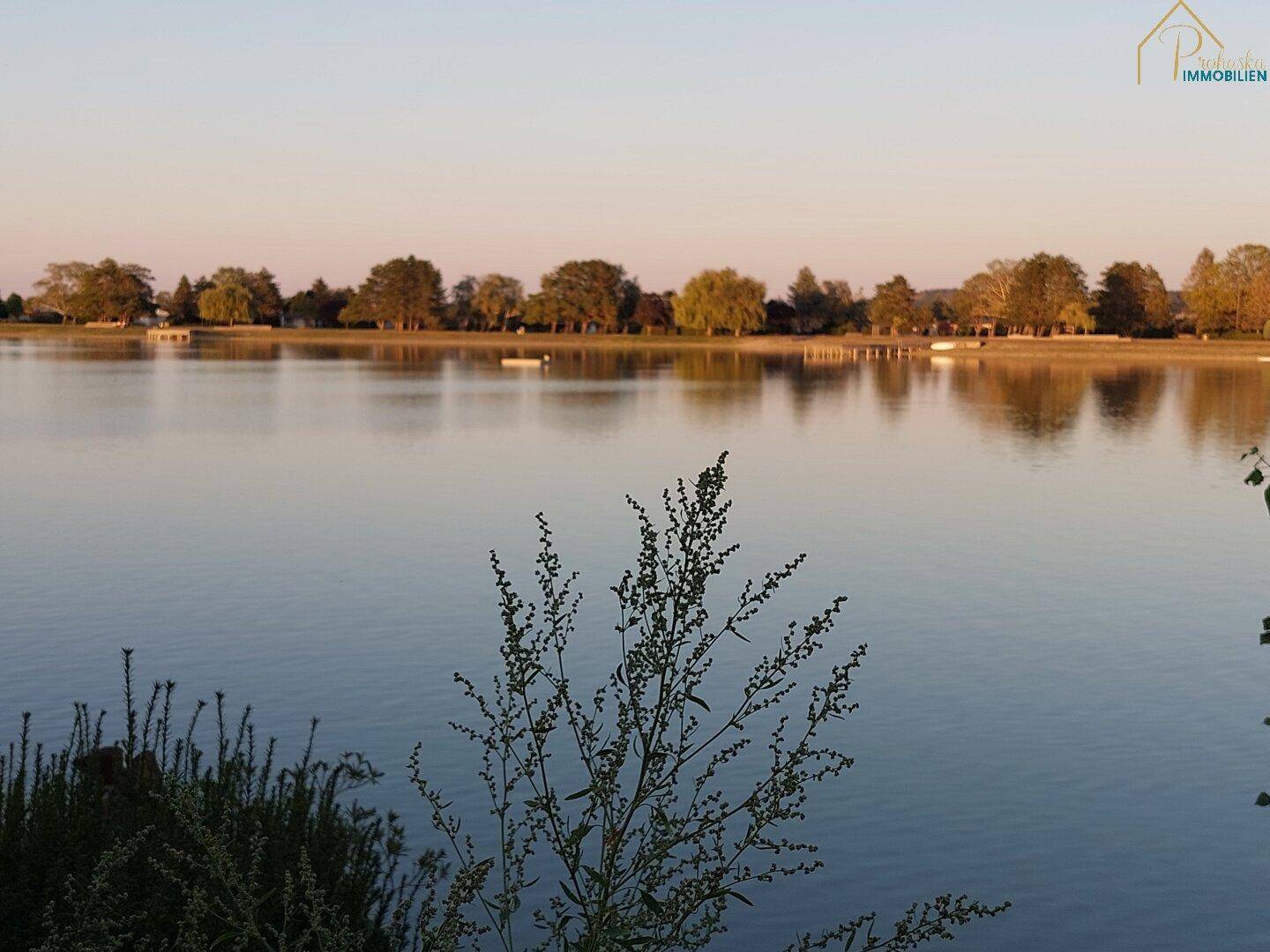 Abendlicher Blick über einen ruhigen See mit Bäumen am Horizont im warmen Sonnenlicht.
