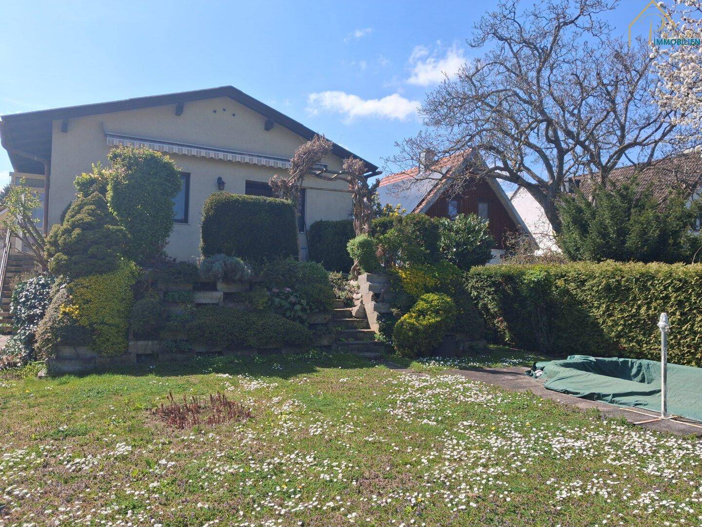 Hausfassade mit Garten, Rasenfläche und abgedecktem Pool im Frühling.