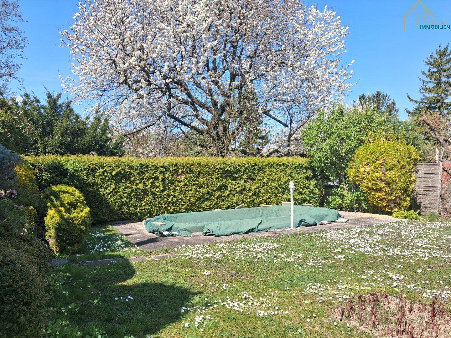 Großer Gartenbereich mit Rasen, Hecken und einem abgedeckten Swimmingpool.