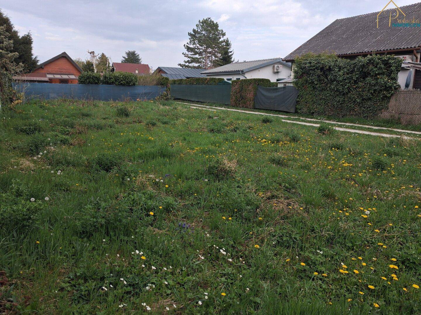 Ungepflegtes Gartengrundstück mit Wiese und kleinen Blumen, umgeben von Hecken und Häusern.