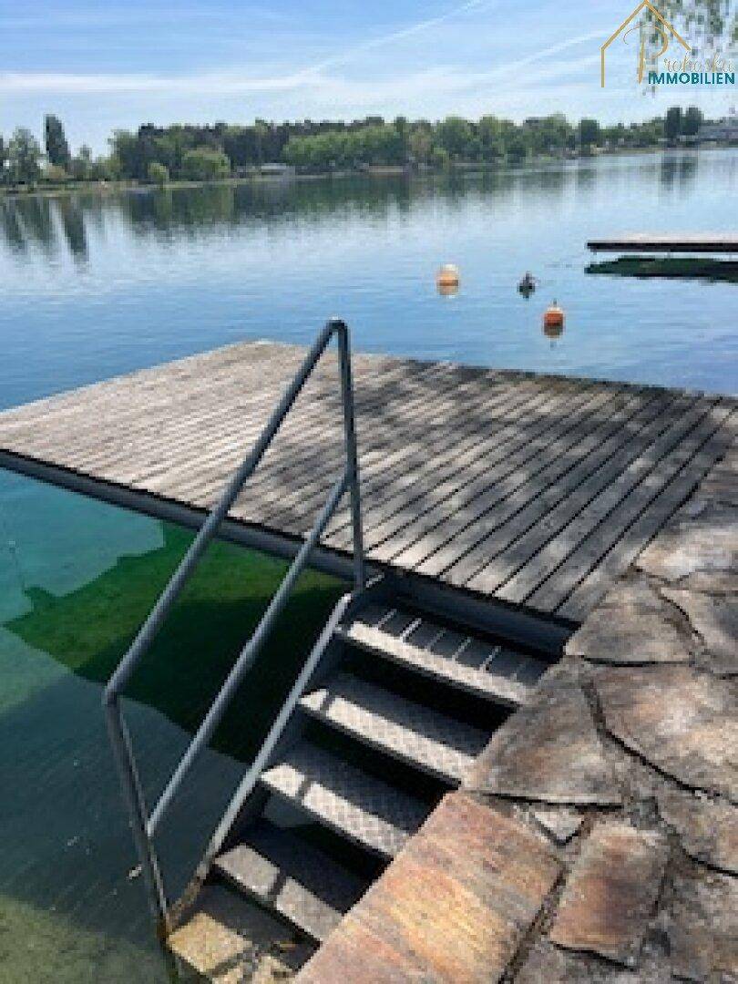 Holzsteg mit Metalltreppe führt ins klare Seewasser, umgeben von grüner Ufervegetation.