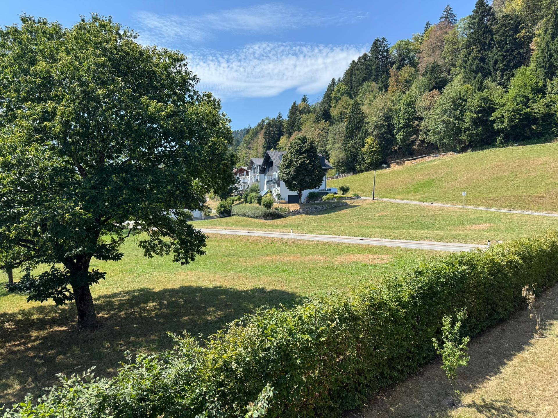 Weitläufiger Blick über grüne Wiesen und bewaldete Hügel unter blauem Himmel, sehr idyllisch.