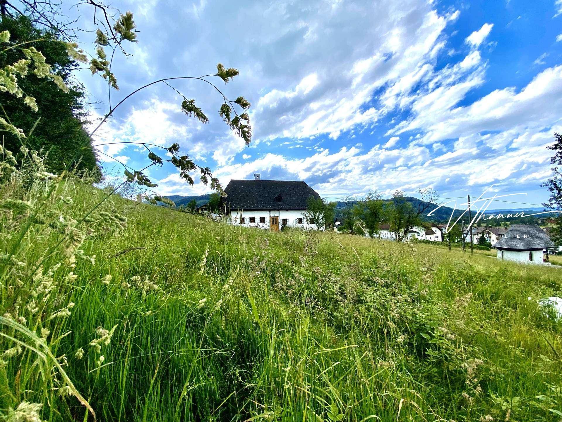 Die Balance zwischen Natur und Mensch. - Ansicht 5