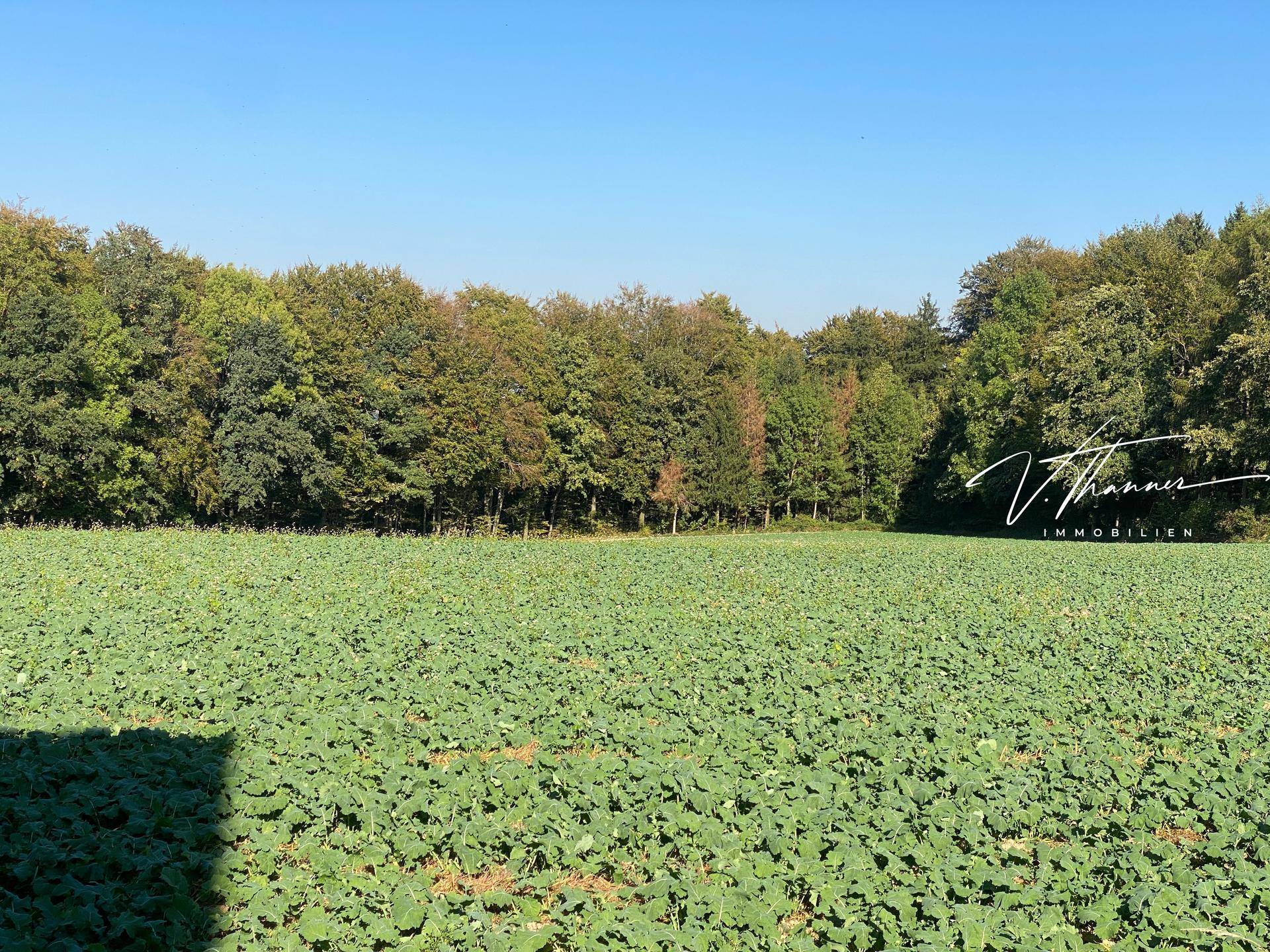 Rückseite Haus Blick aufs Feld