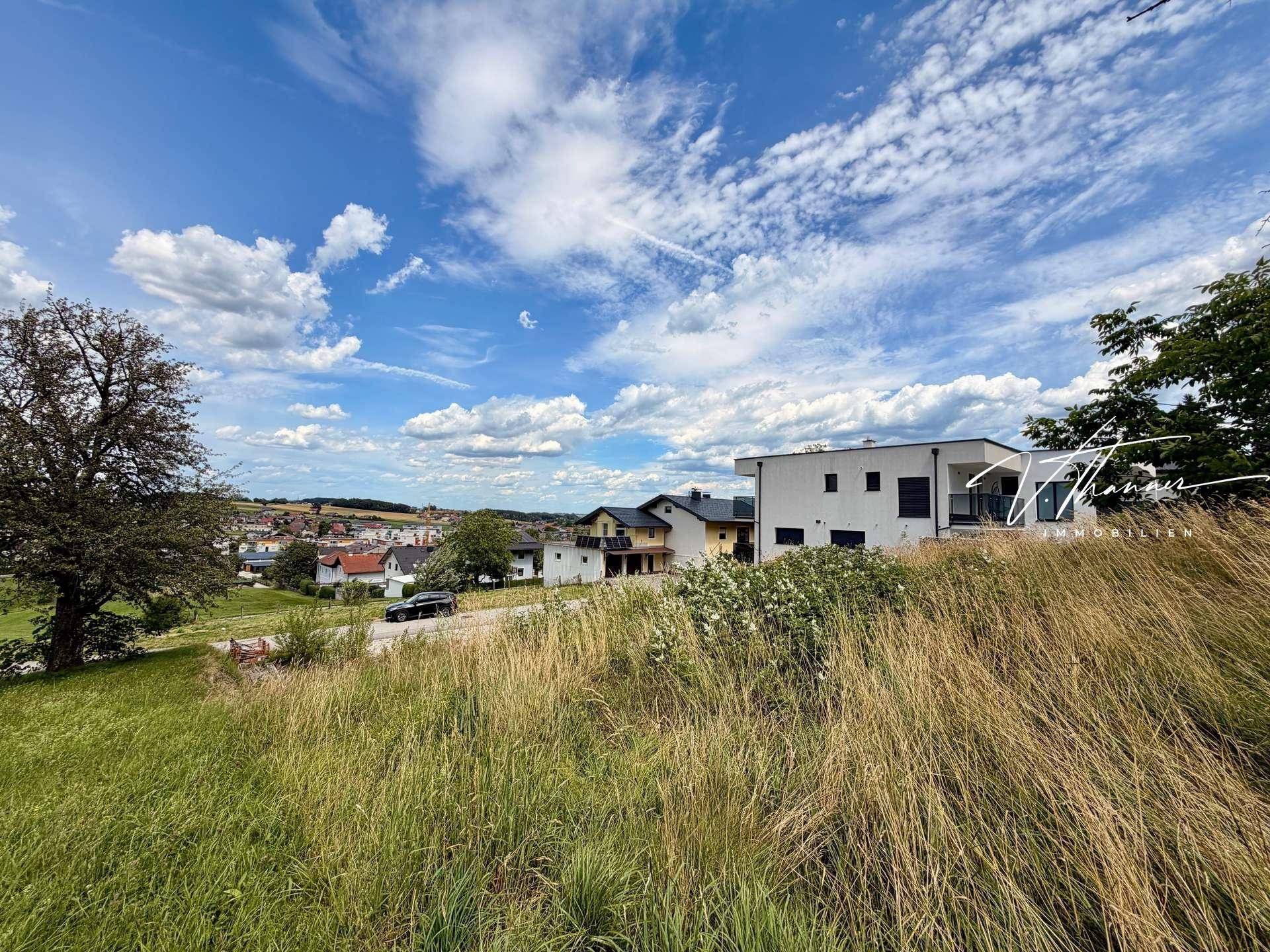 Blick über eine grüne Wiese auf moderne und traditionelle Häuser in einer Wohnsiedlung.