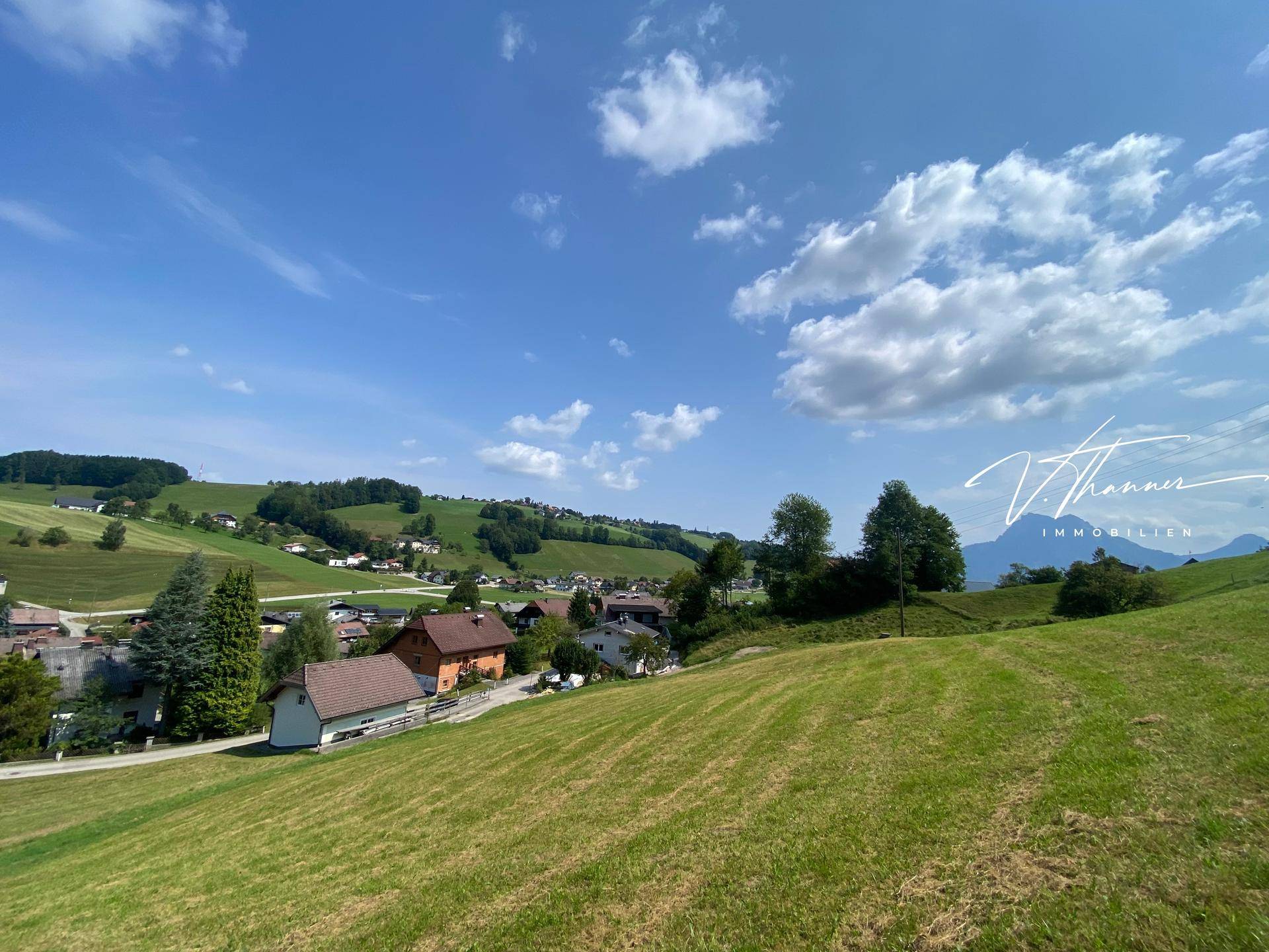 Seitenansicht