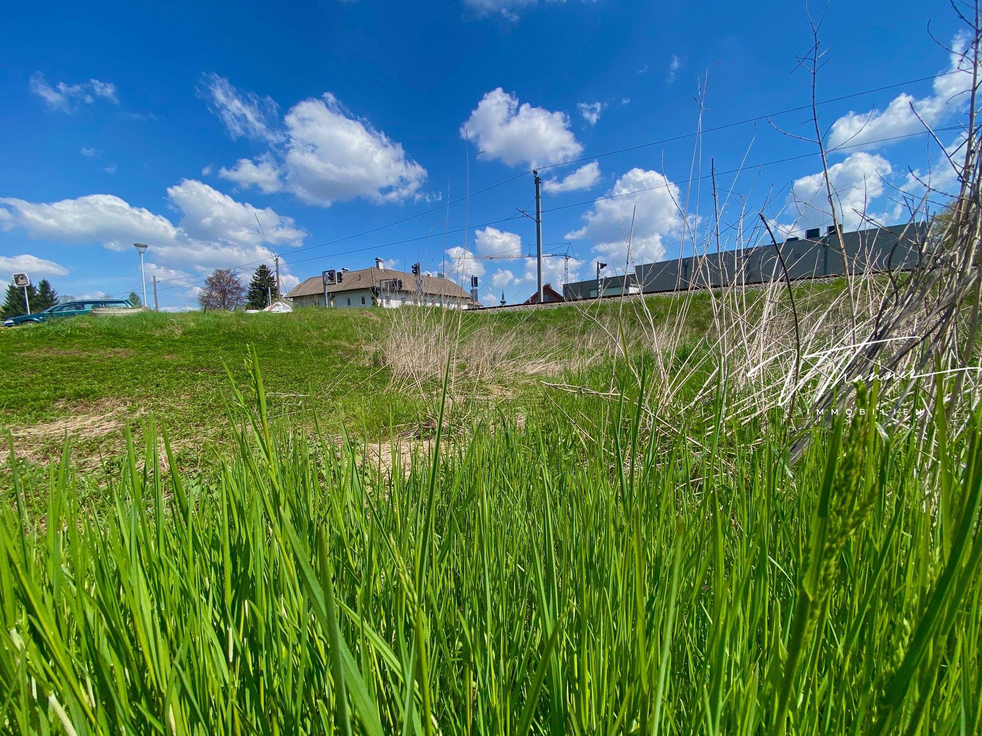 Nahaufnahme von hohem grünen Gras mit unscharfen Gebäuden und Bahngleisen im Hintergrund unter blauem Himmel.