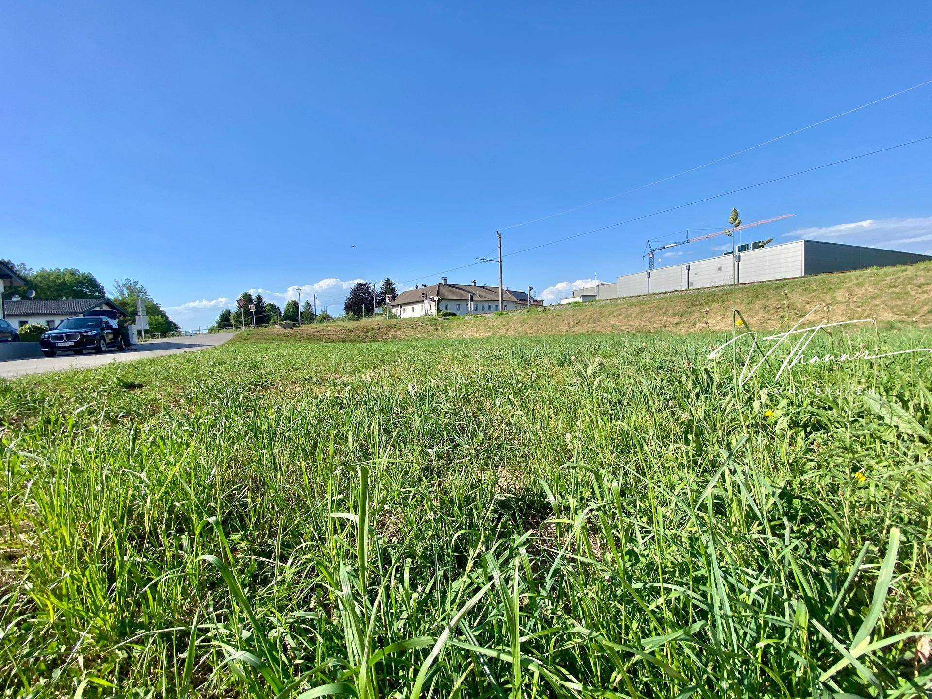 Grüne Wiesenfläche mit einer Straße, Gebäuden und Baukranen im Hintergrund unter klarem blauem Himmel.