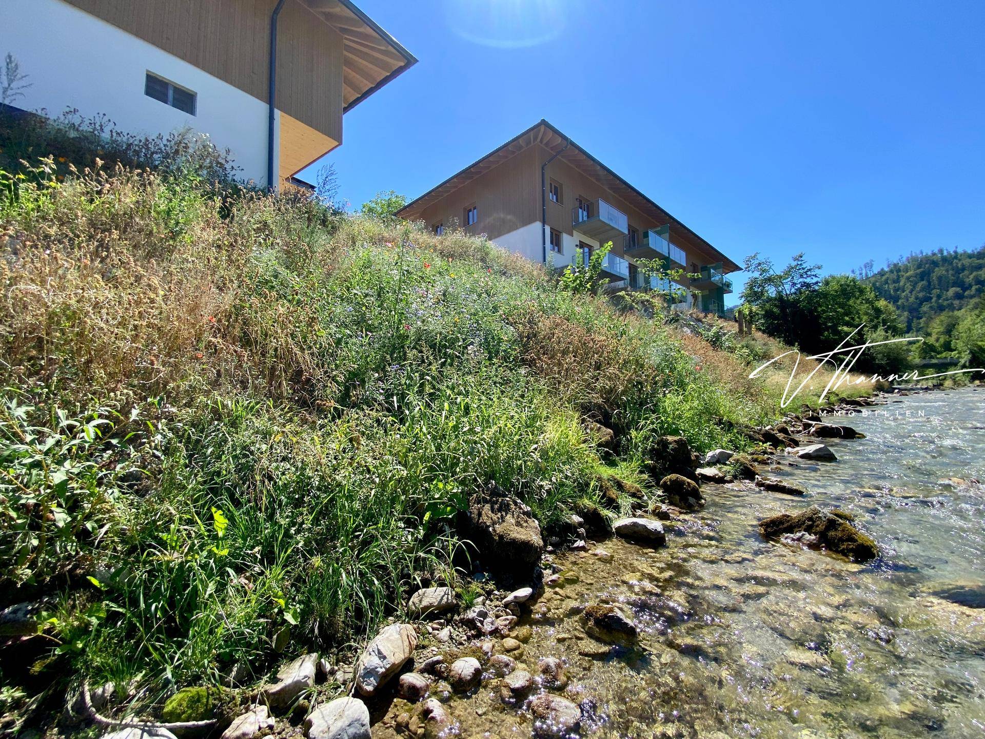 Flussufer mit üppiger Vegetation und einem modernen Gebäude im Hintergrund.