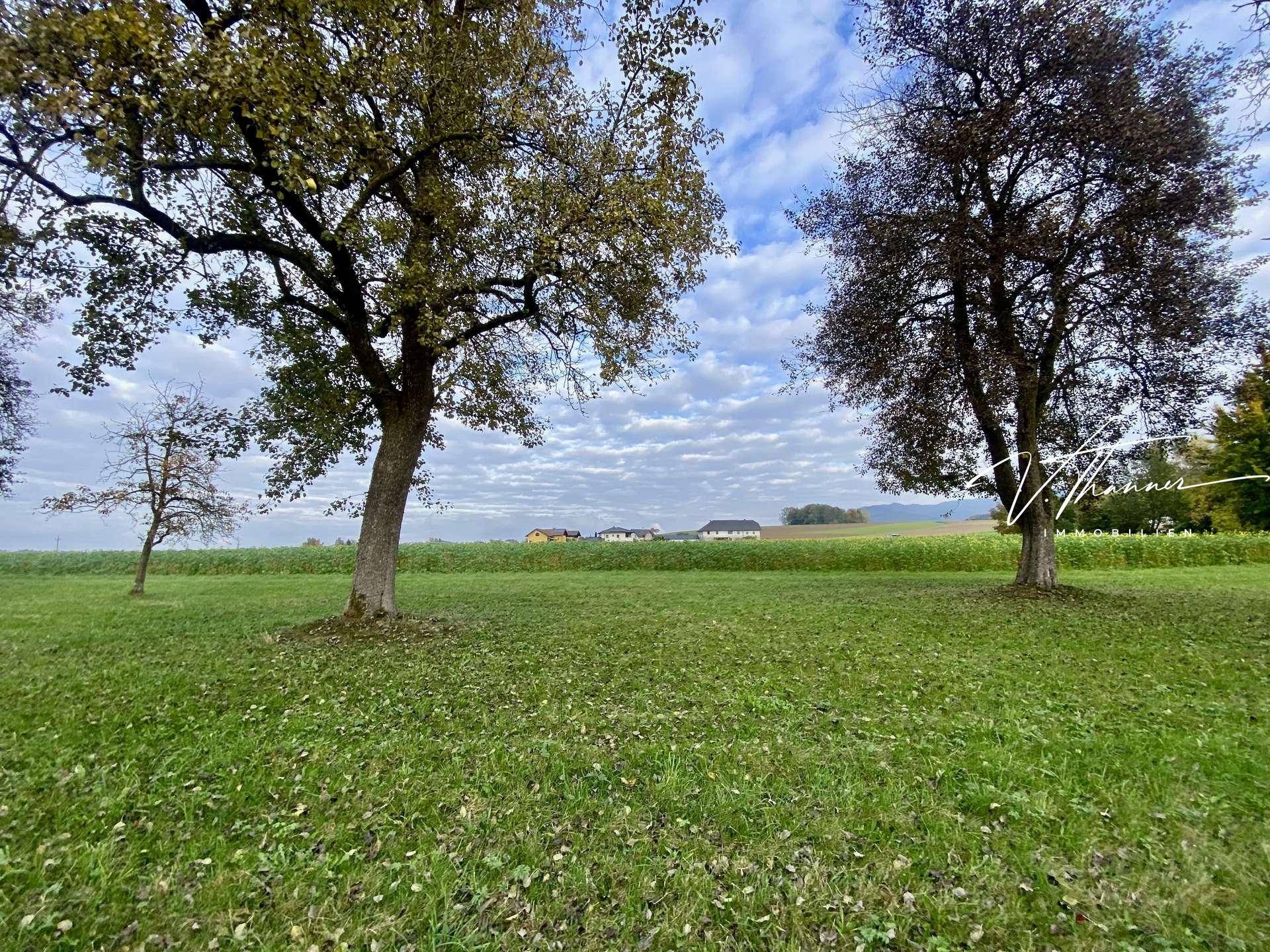 Traumhafte Landschaft