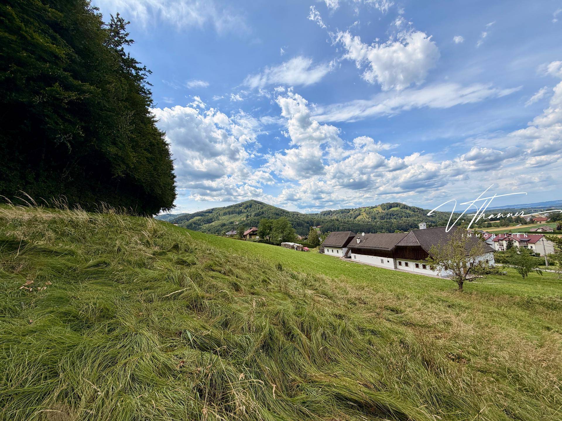 Grüner Hang mit Blick auf ländliche Häuser und sanfte Hügel in der Ferne.