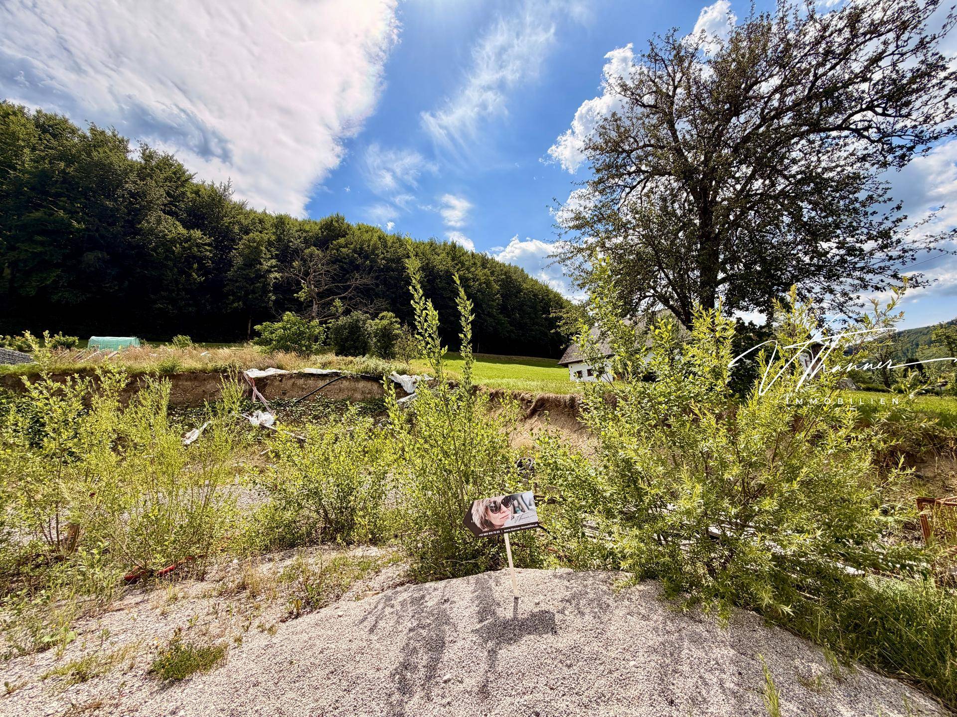 Natürliche Landschaft mit Kiesfläche, jungen Büschen und dichtem Wald im Hintergrund.