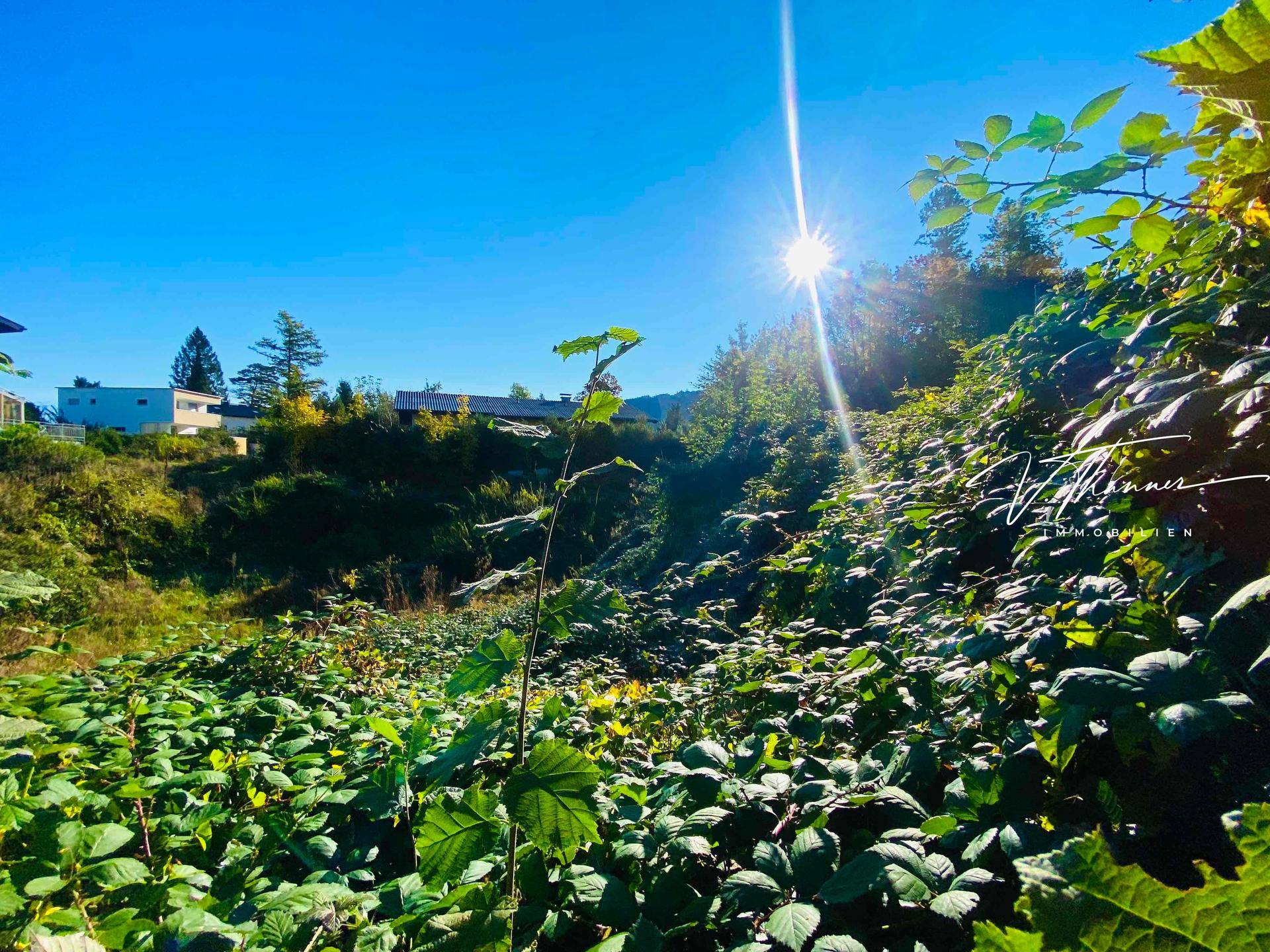Grundstück Waldweg