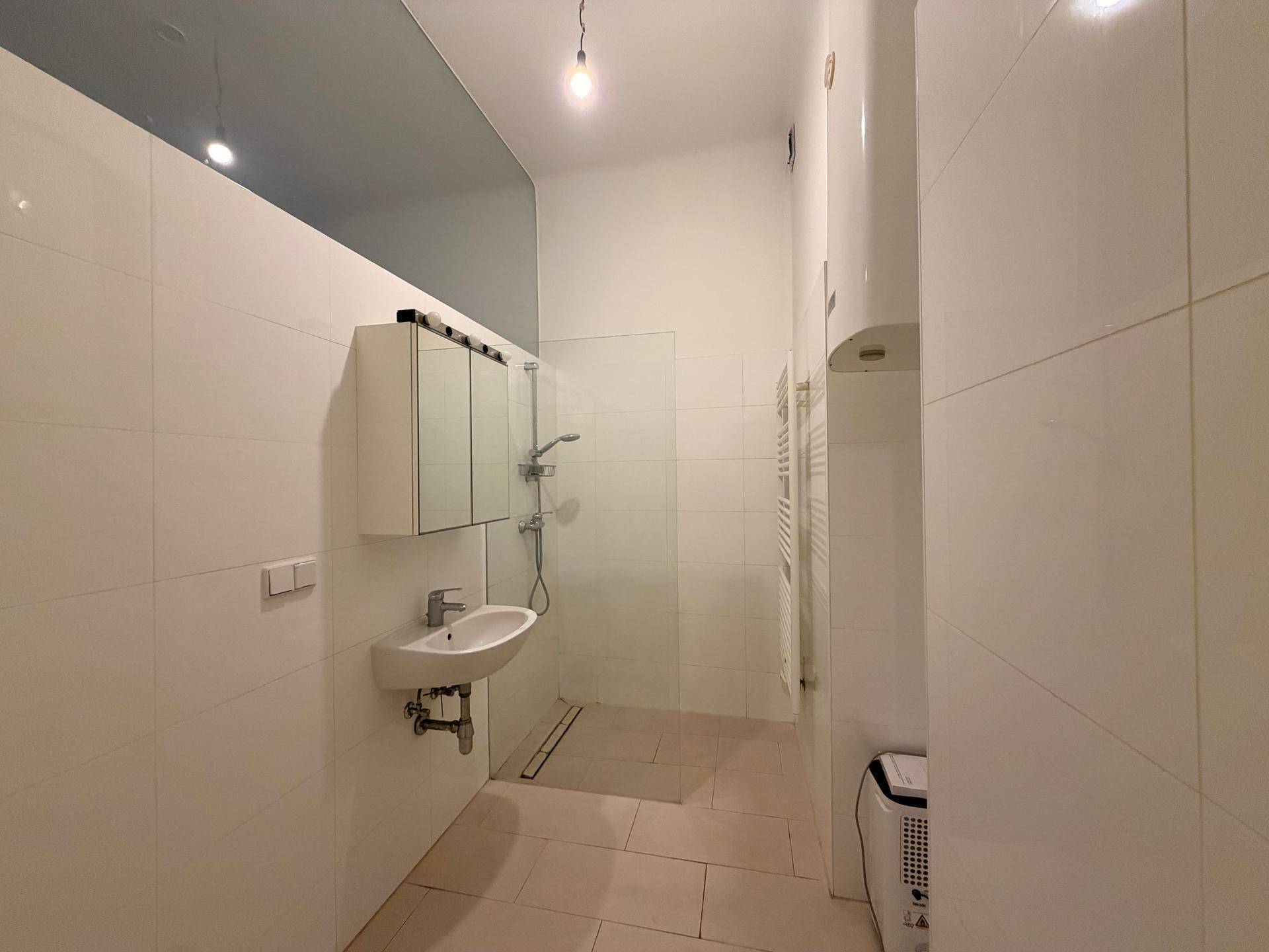 Modernes Badezimmer mit Fliesen, einer ebenerdigen Dusche und einem Waschbecken mit Spiegelschrank.