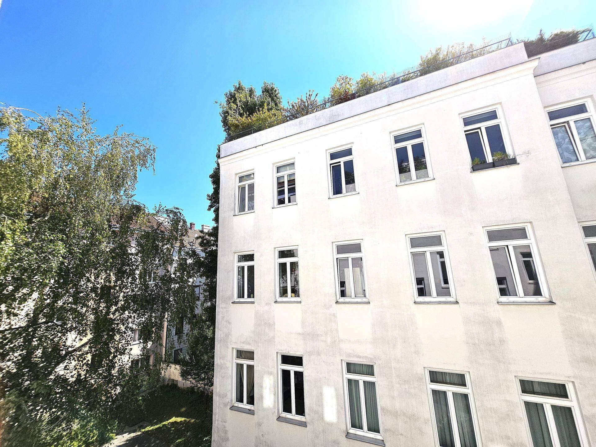grün, sonnig und ruhig