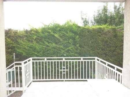 Heller Balkon oder Terrasse mit weißem Geländer und hoher Hecke für Privatsphäre.