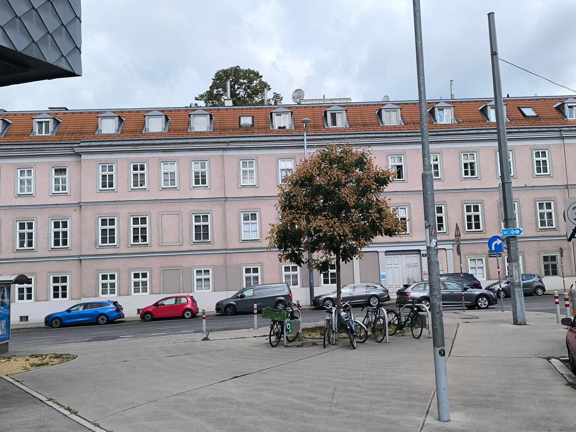 Ansicht eines historischen Gebäudes mit rosa Fassade, umgeben von parkenden Autos und Fahrrädern auf der Straße.