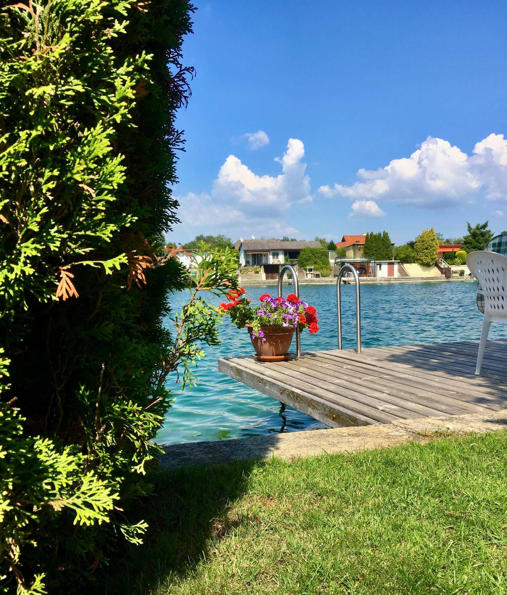 Grüner Gartenbereich mit Blick auf den See und einen Holzsteg mit bunten Blumen.