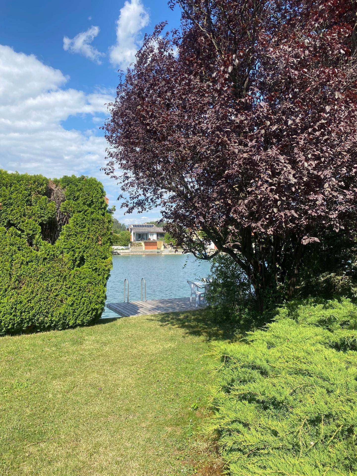 Grüner Gartenbereich mit hohen Hecken und Bäumen, Blick auf den See und einen Holzsteg.